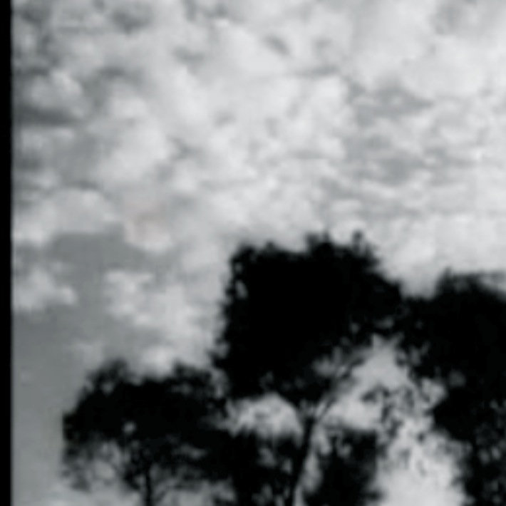 DIY Scarves – “Fly to me”&nbsp;(2013)